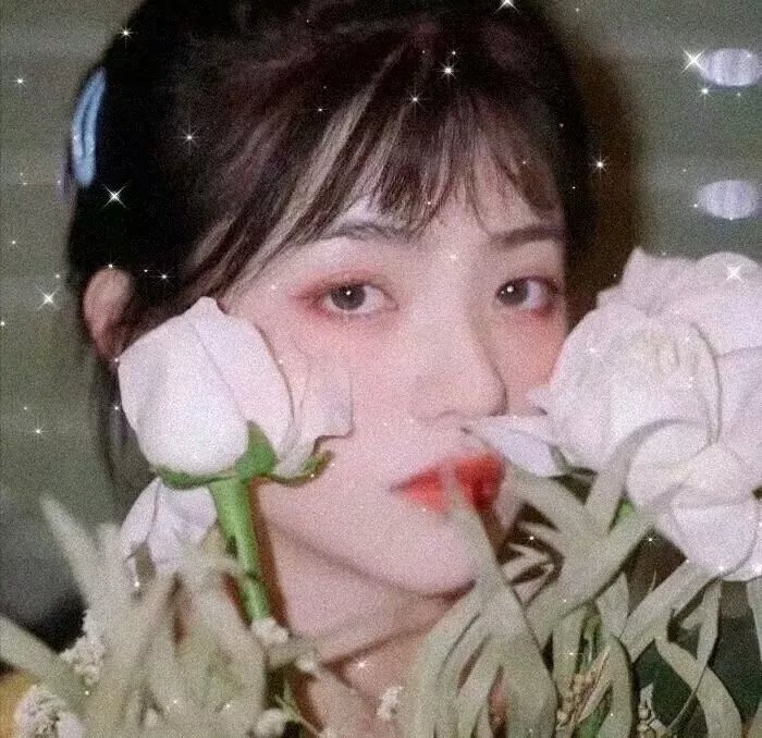薇拉与伊娃